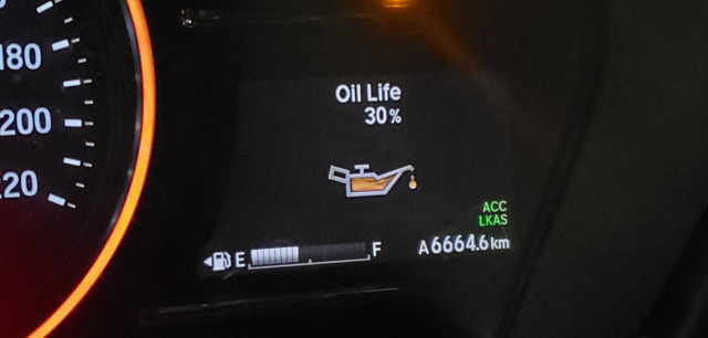 Oil Life.jpg